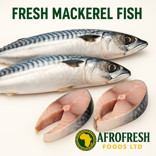 Mackerel Fish (Titus)